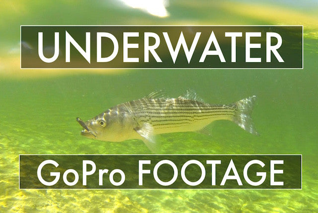 UNDERWATER GoPRO FISHING FOOTAGE