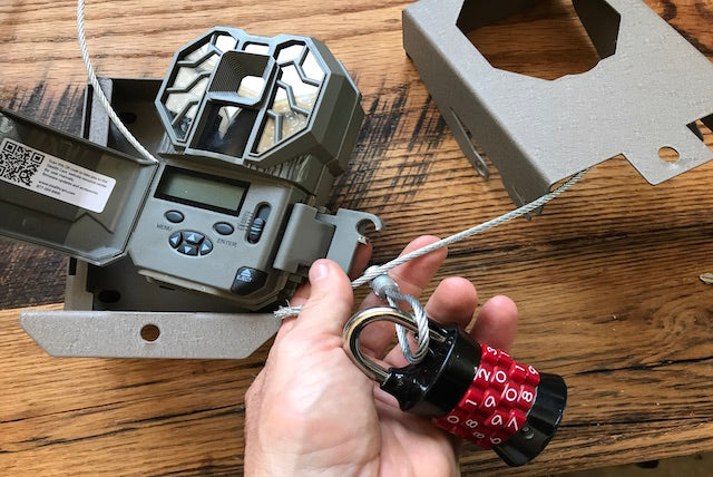 WHY DO PEOPLE STEAL?