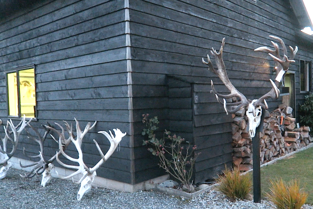 NEW ZEALAND HUNTING TRIP