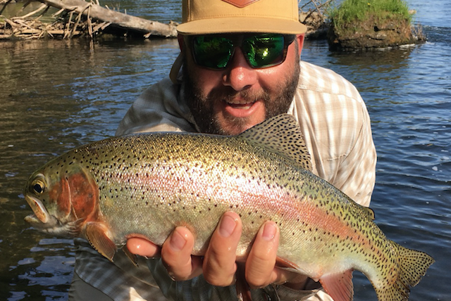 BIG FATTY RAINBOWS