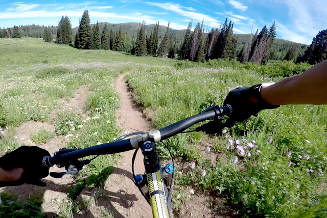 MOUNTAIN BIKES FOR HUNTING?