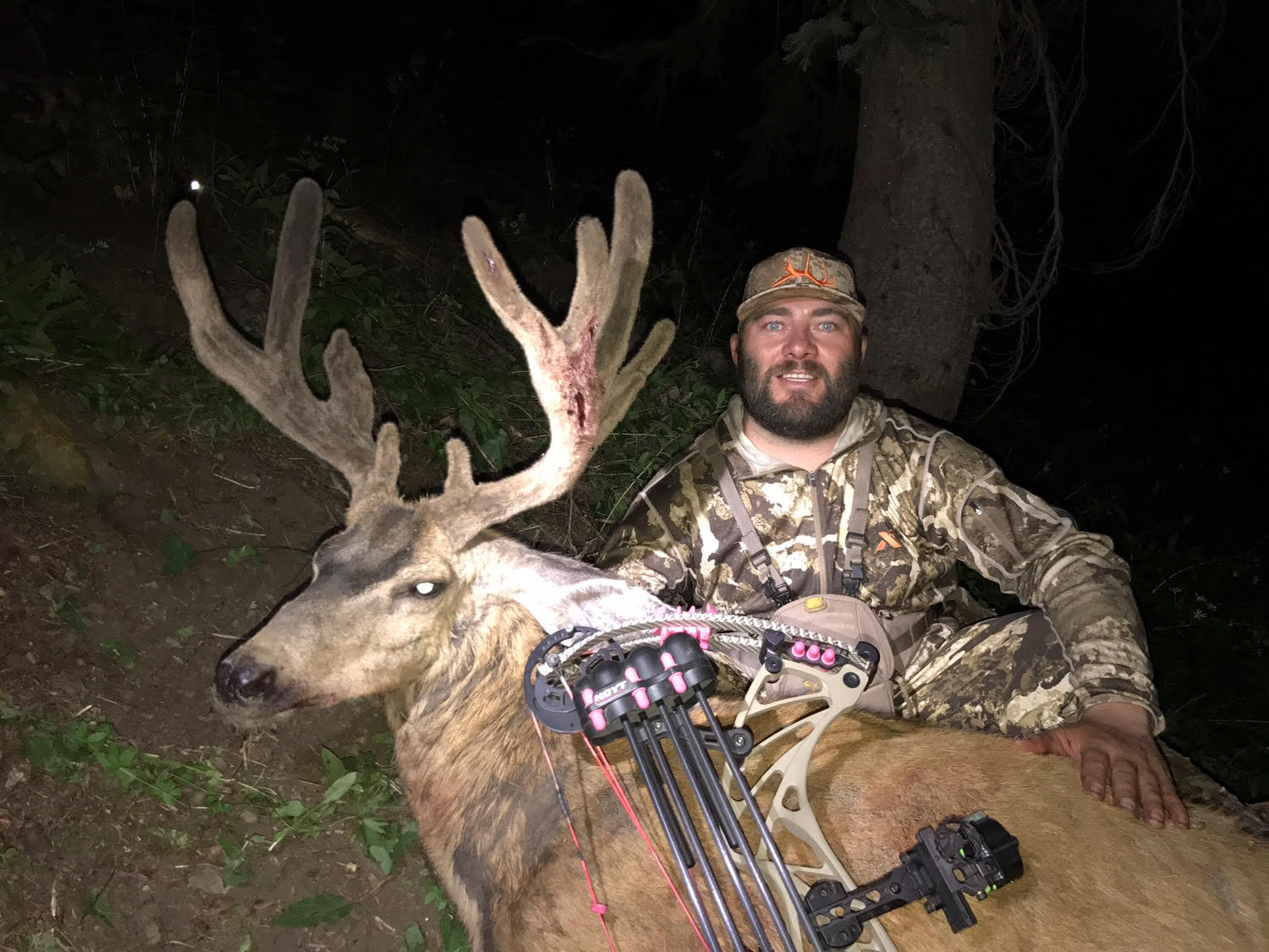 High Country Archery Mule Deer