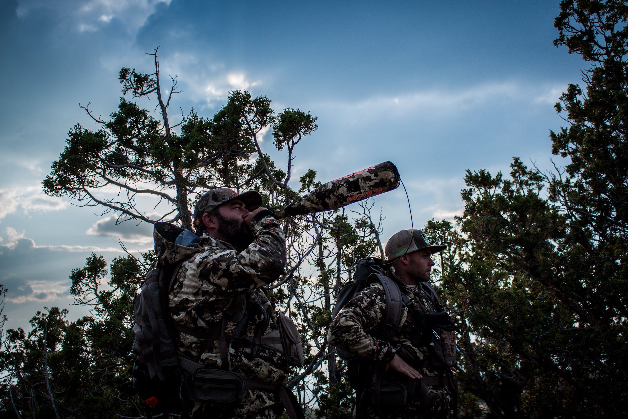 CALLING IN BIG BULLS