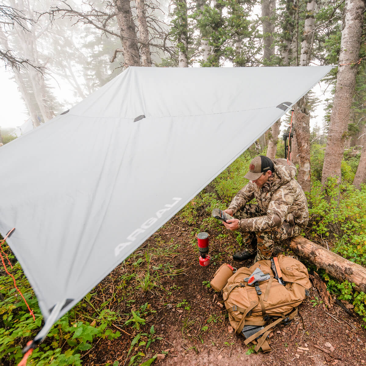 Argali Talus Tarp