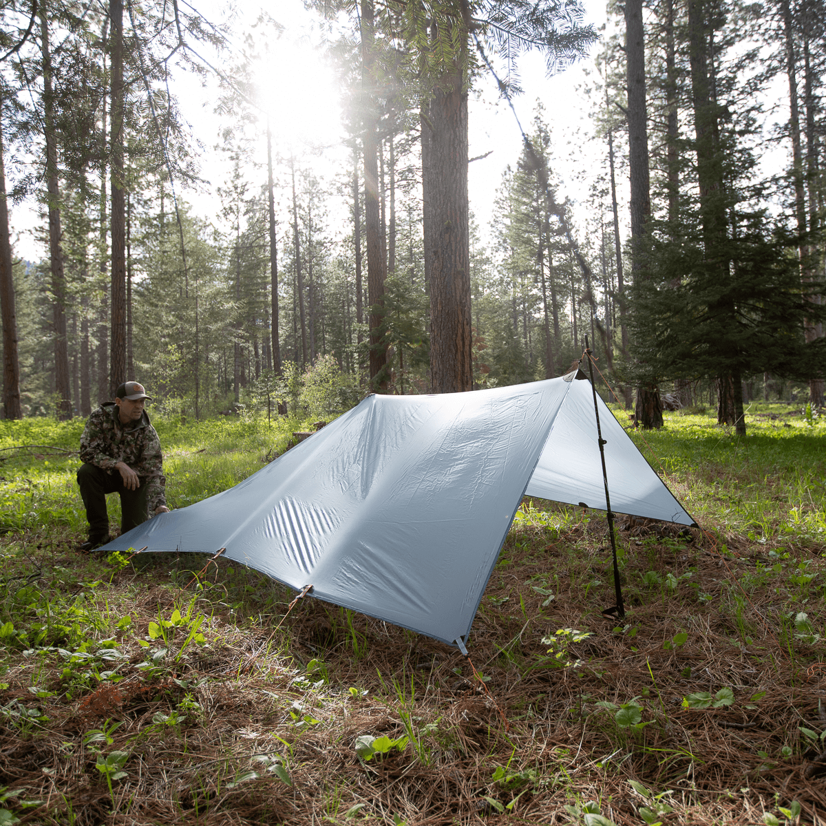 Argali Talus Tarp