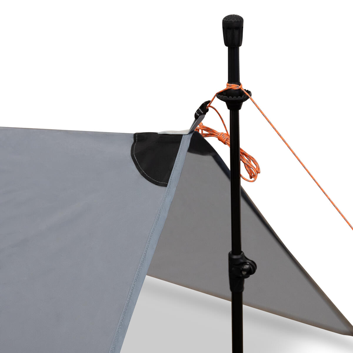 Argali Talus Tarp