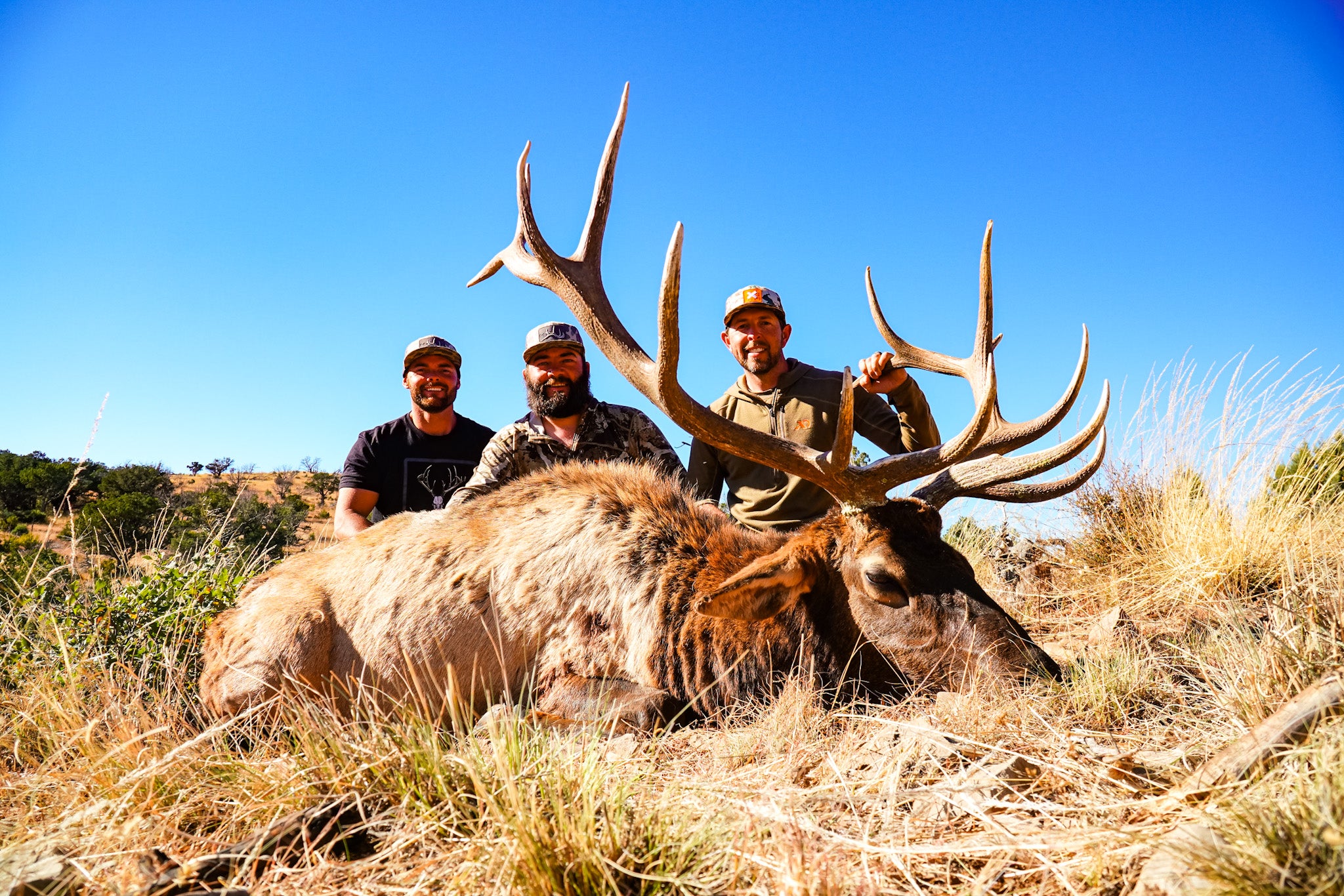 ELK HUNT - ERIC CHESSER, CASEY BUTLER & BRIAN MCELREA