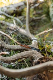 Argali x HUSH Serac Knife