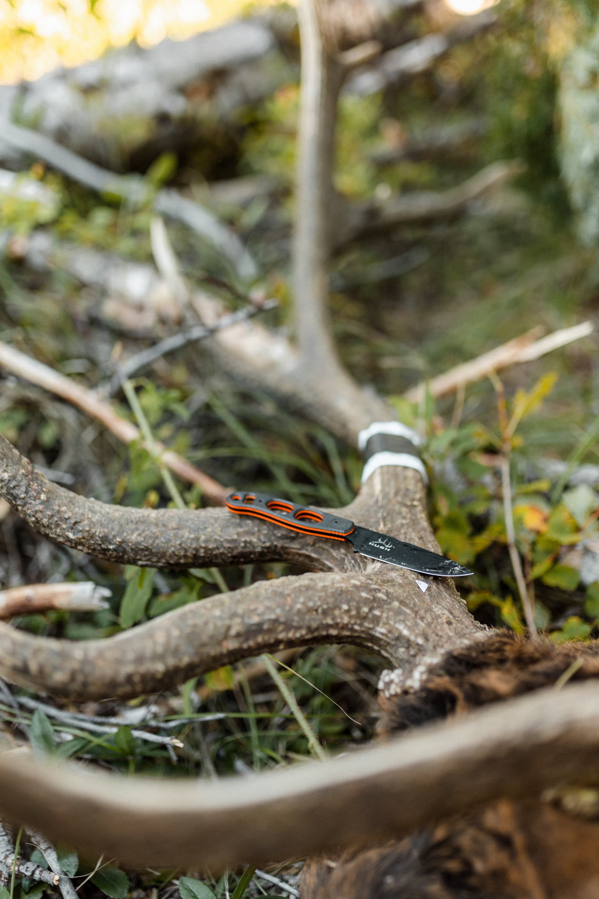 Argali x HUSH Serac Knife