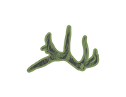 Pines and Tines Sticker