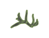 Pines and Tines Sticker