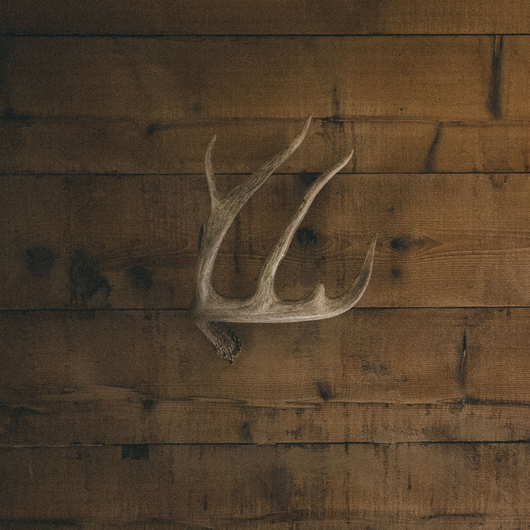 Antler Bar