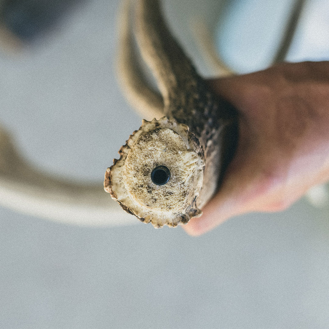 Antler Inserts