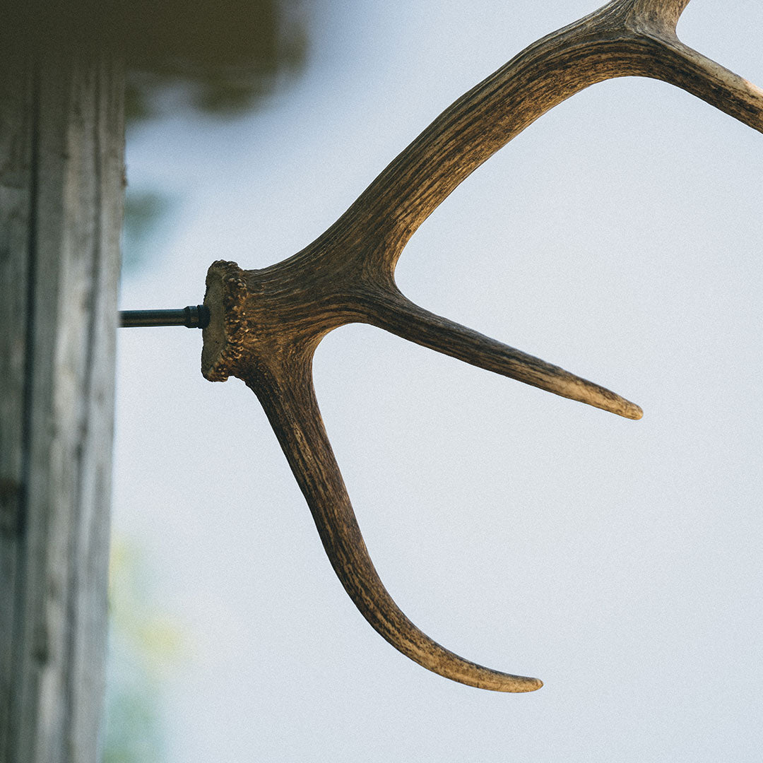 XL Antler Bar
